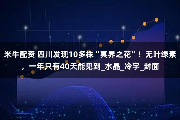 米牛配资 四川发现10多株“冥界之花”!无叶绿素,一年只有40天能见到_水晶_冷宇_封面