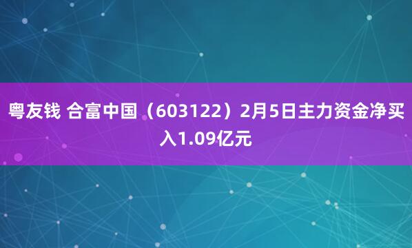 粤友钱 合富中国（603122）2月5日主力资金净买入1.09亿元